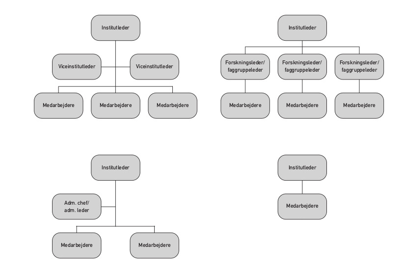 Eksempler på modeller for organisering af et instituter