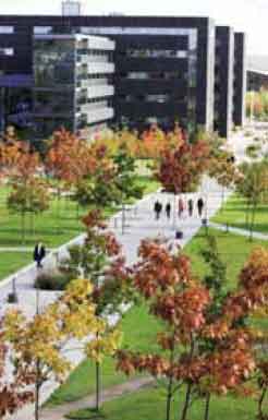 CBS uses design as a strategic
tool for upgrading its campus and has just
included design and physical conditions as
one of five strategic points of focus for the
coming years.